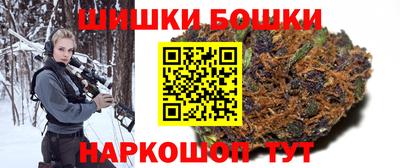 тгк Бердск