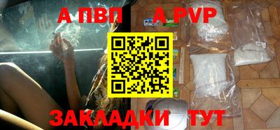тгк Бердск