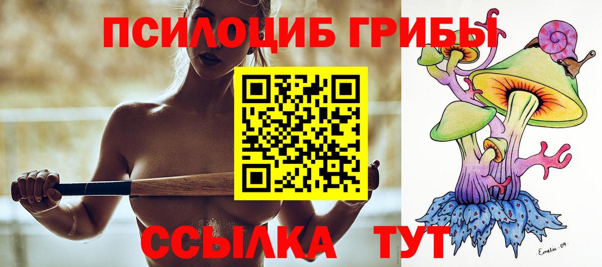 Псилоцибиновые грибы ЛСД  Галлюциногенные грибы Psilocybine cubensis  Вход с VPN  Узловая 